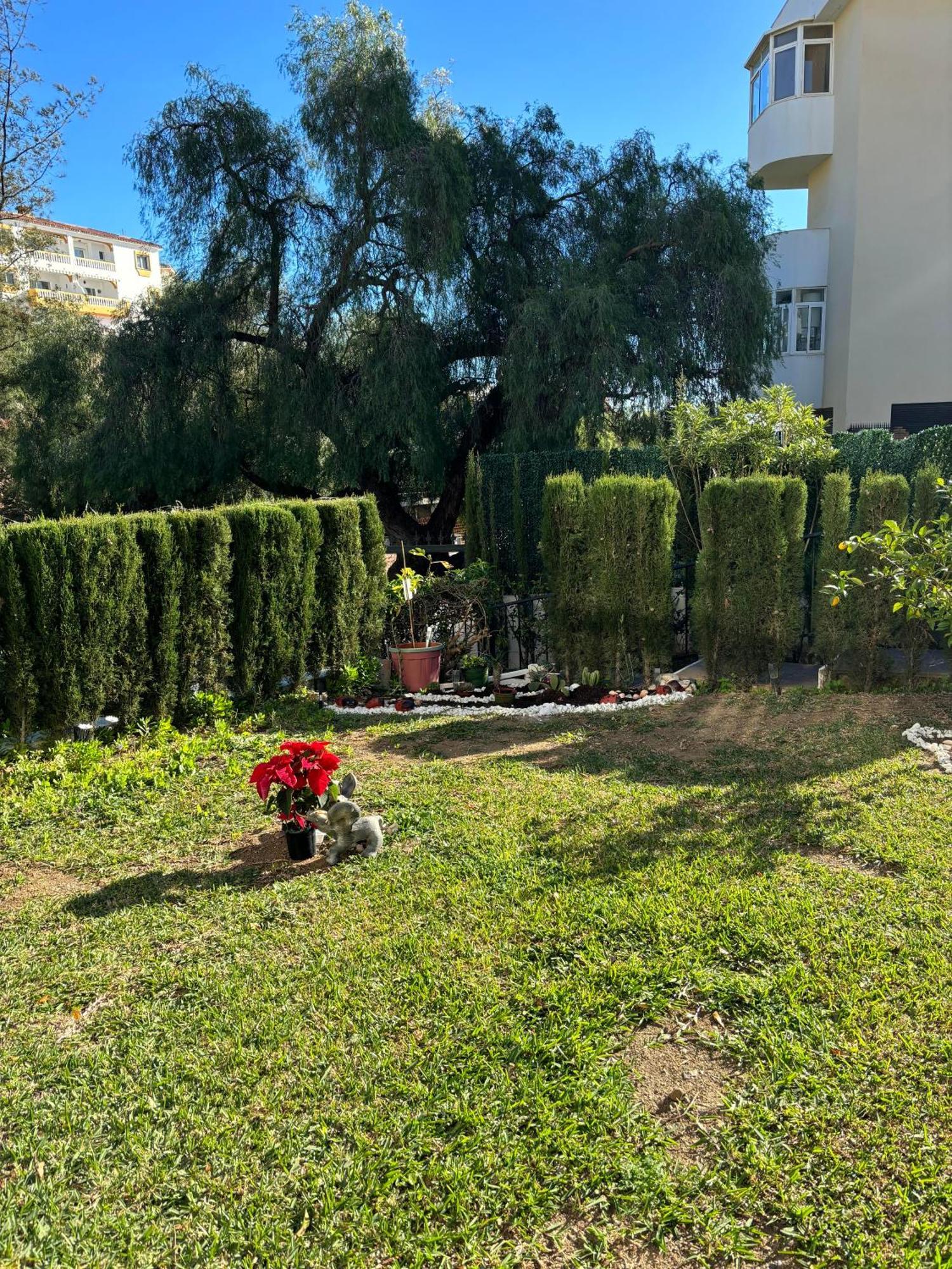 דירות פואנגירולה Stella Blanca 24B מראה חיצוני תמונה